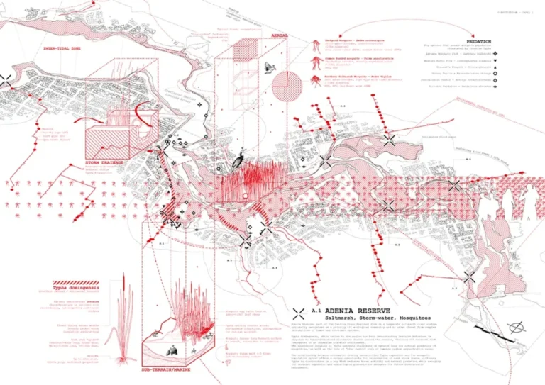 Intervention dans un marais salant australien