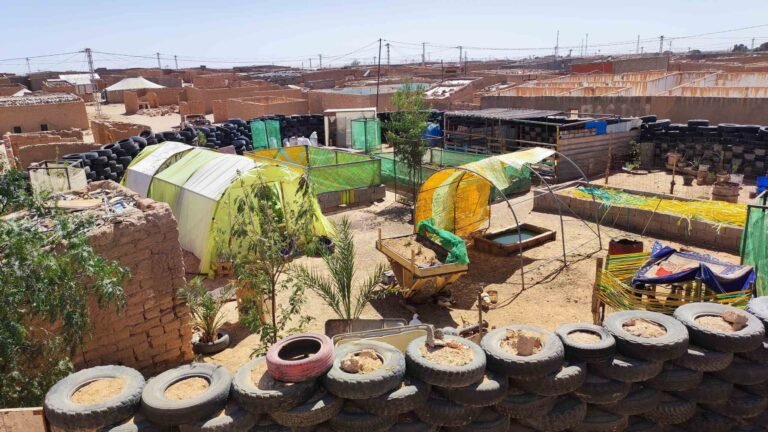 The Nomad Garden