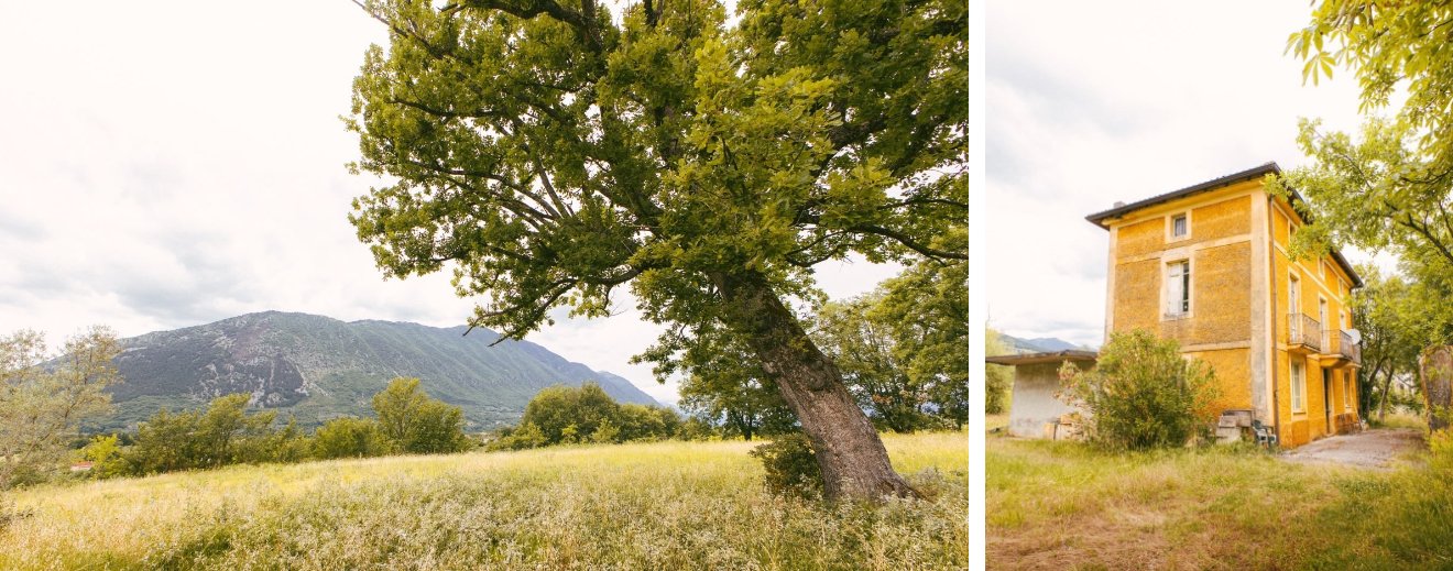 Paysage italien et chêne historique du site du concours The Oak Moon Pavilion